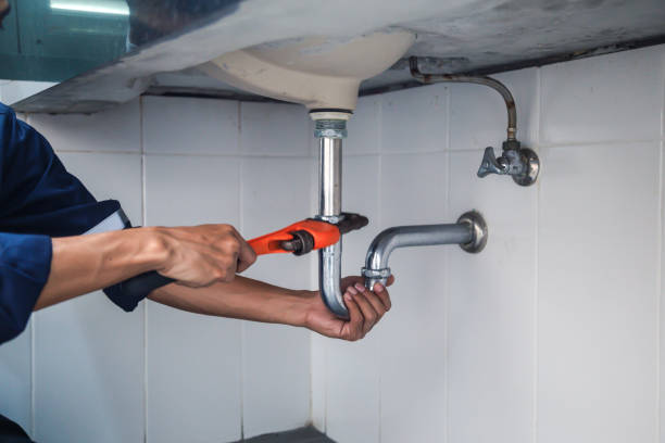 Best Clogged Drain Plumber  in Island Walk, FL